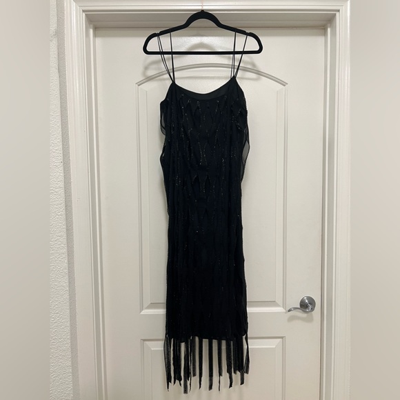 NWT Zara Sequin Beaded Fringe Dress - Picture 9 of 16